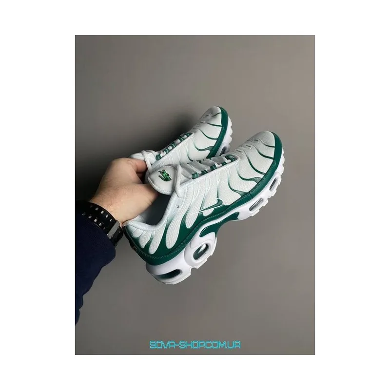 Tn Plus Lacoste, vista 3