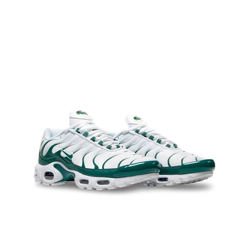 Tn Plus Lacoste, vista 1